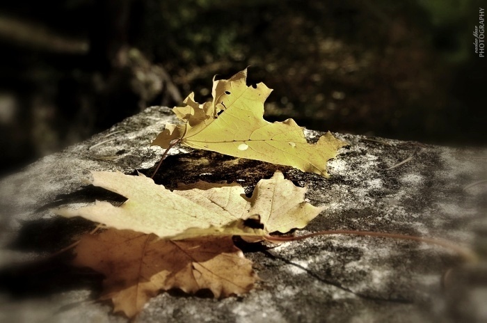 Podzim v Lázních Kynžvart