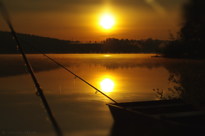 Fishing at Dawn